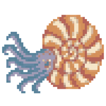 Ammonite Spiral — Dinosaur Park patterns