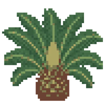Cycad Crown — Dinosaur Park patterns