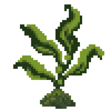 Giant Kelp Frond — Ocean Wonders patterns