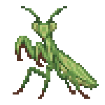 Praying Mantis — Pet Friends patterns