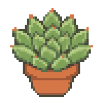 Echeveria Rosette — Plants & Nature patterns
